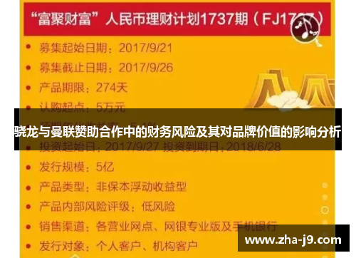 骁龙与曼联赞助合作中的财务风险及其对品牌价值的影响分析